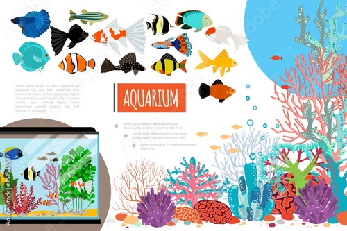 Flat Aquarium Elements Composition