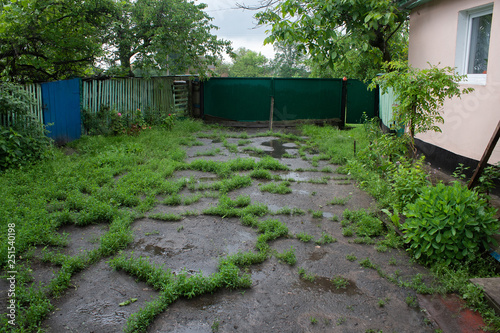 Rural yard after the rain overgrown with grass