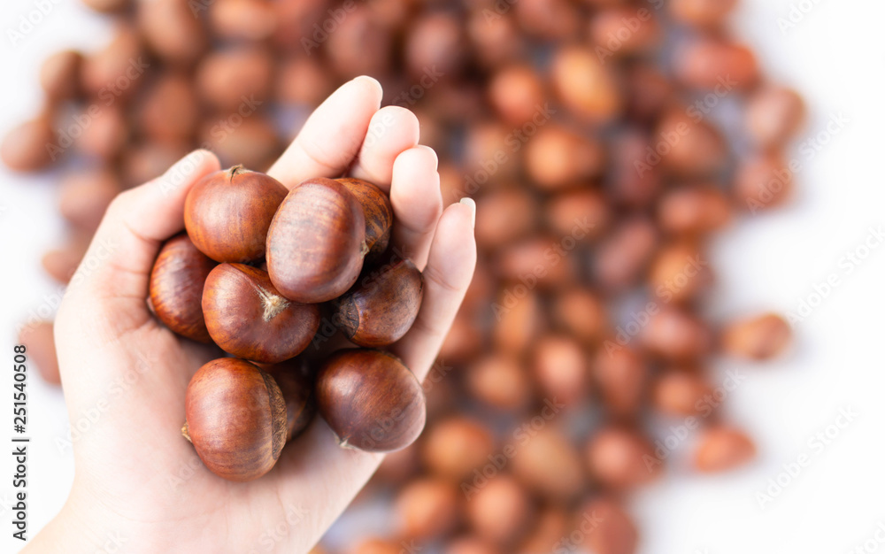 Closeup top view hand holding horse chestnuts on white background, healthy food concept Closeup top view hand holding horse chestnuts on white background, healthy food concept