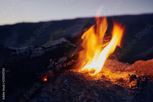 dry firewood and branches burn in a hot bonfire in nature in bright yellow and orange