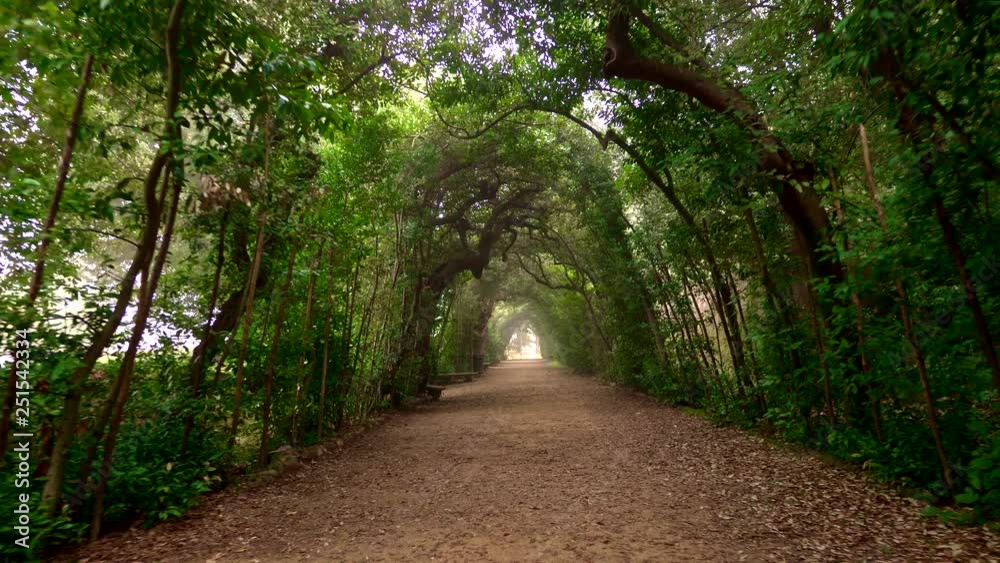 Boboli Gardens. Florence, Italy. Walking along shady arched path in Boboli Garden park Boboli Gardens. Florence, Italy. Walking along shady arched path in Boboli Garden park