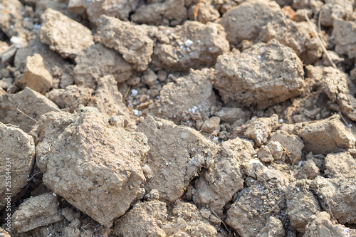 Close-up of dry soil.