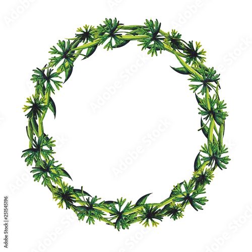 Floral wreath on a white background in watercolor.