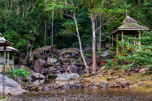 Fototapeta Naklejka Na Ścianę i Meble -  Pavilions for relaxing with bridges on the banks of a mountain stream with stones in the rainforest under the morning sun