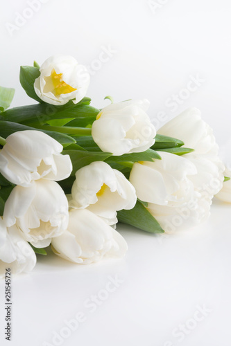 Bouquet of white tulip on white. Copy space.