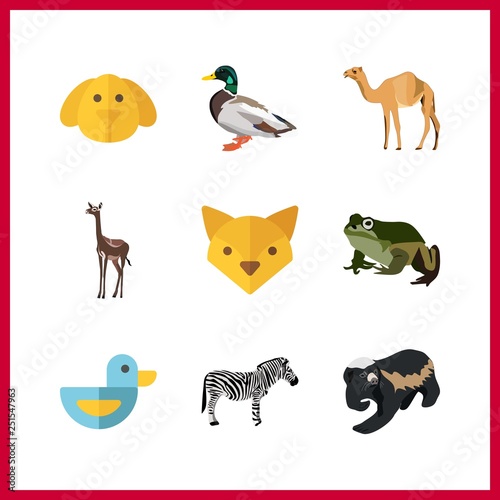 9 animal icon. Vector illustration animal set. camel and zebra icons for animal works