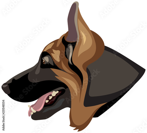German Shepherd dog head profile color vector illustration from the dog show sign symbol set