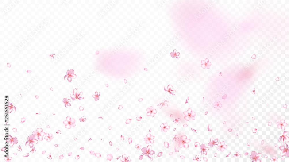 Nice Sakura Blossom Isolated Vector. Feminine Showering 3d Petals Wedding Paper. Japanese Oriental Flowers Wallpaper. Valentine, Mother's Day Tender Nice Sakura Blossom Isolated on White