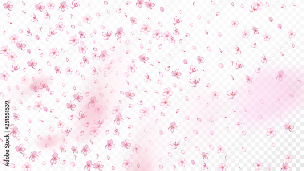 Nice Sakura Blossom Isolated Vector. Feminine Blowing 3d Petals Wedding Texture. Japanese Nature Flowers Wallpaper. Valentine, Mother's Day Spring Nice Sakura Blossom Isolated on White