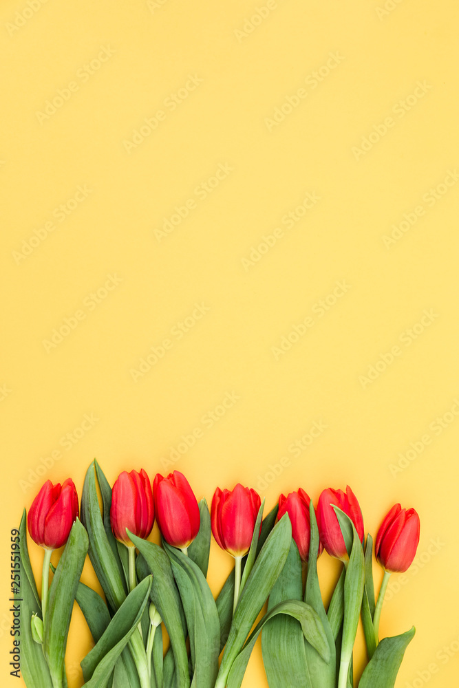 Fototapeta Czerwone tulipany na żółtym tle.