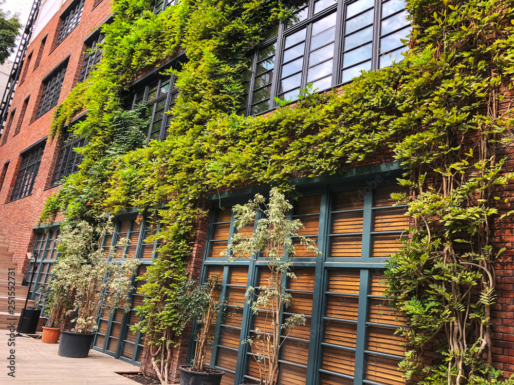 Eco-style in the modern courtyard with beautiful views, deciduous decor on a brick building Eco-style in the modern courtyard with beautiful views, deciduous decor on a brick building