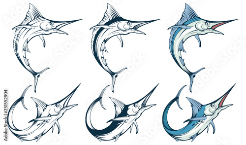 marlin fish set, vector graphic to design