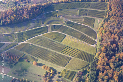 Vineyards in Southern Germany photo