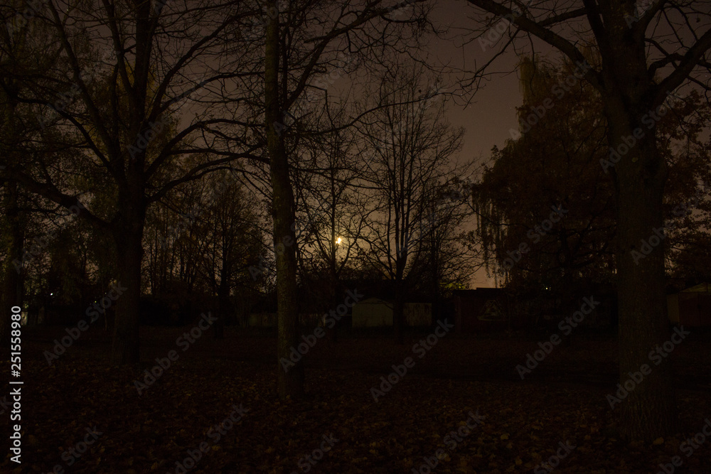 Fototapeta premium Streets night 
