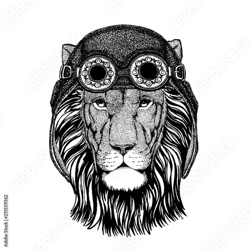 Cute animal wearing motorcycle, aviator helmet Lion Hand drawn picture for tattoo, emblem, badge, logo, patch, t-shirt
