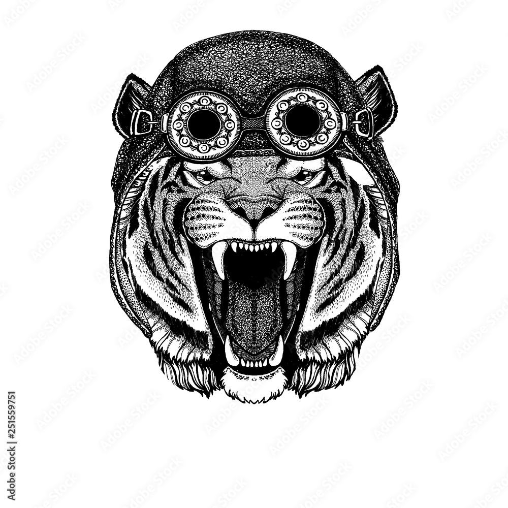 Obraz premium Cute animal wearing motorcycle, aviator helmet Wild tiger Hand drawn image for tattoo, emblem, badge, logo, patch, t-shirt