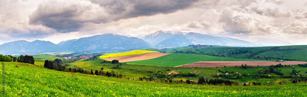 Spring storm in mountains panorama. Dandelion meadow.