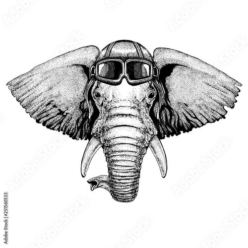 Animal wearing aviator helmet with glasses. Vector picture. African or indian Elephant Hand drawn illustration for tattoo, emblem, badge, logo, patch, t-shirt