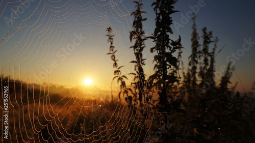 web