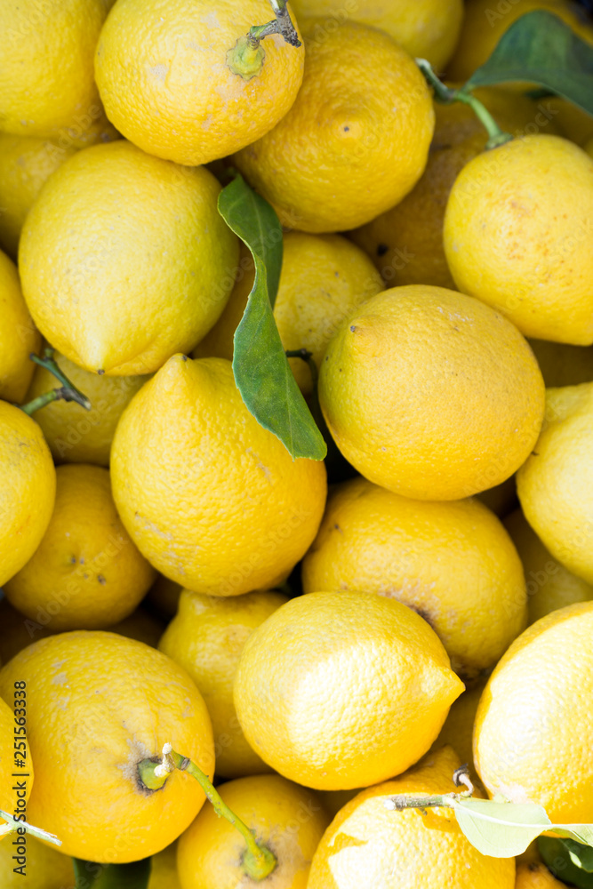 As shot fresh lemon photo at market place As shot fresh lemon photo at market place