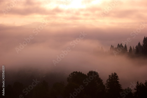 Foggy forest and cloudy sky in mountains. Morning sunrise through fog in forest. Beautiful nature scene.