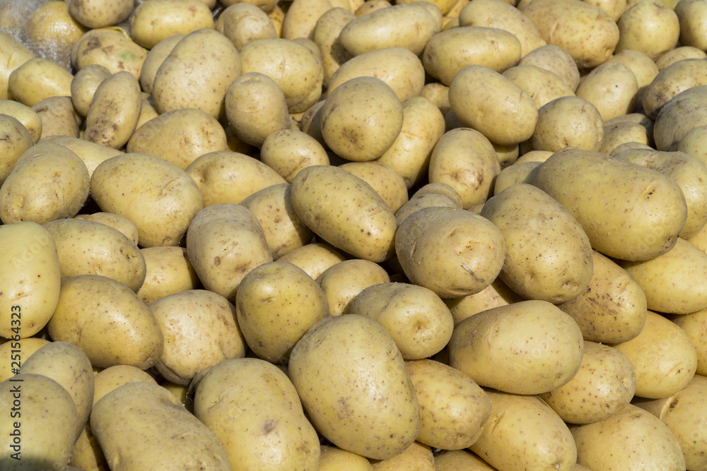 As shot fresh potato photo at market place As shot fresh potato photo at market place