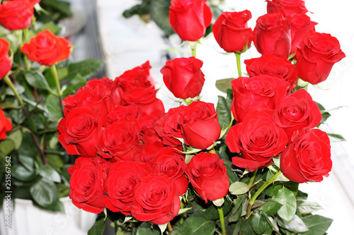 A bouquet of blooming dark red roses on a light background
