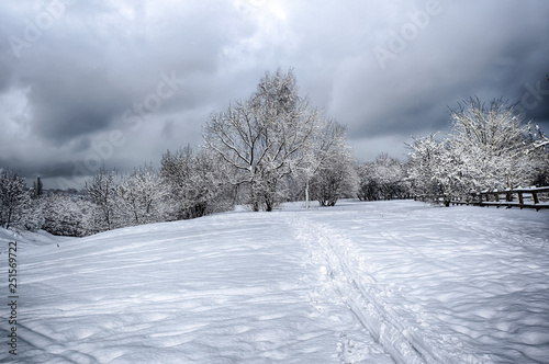 dramatic winter snow landscape forest snow on branches vignetting hdr photo  © yalo173