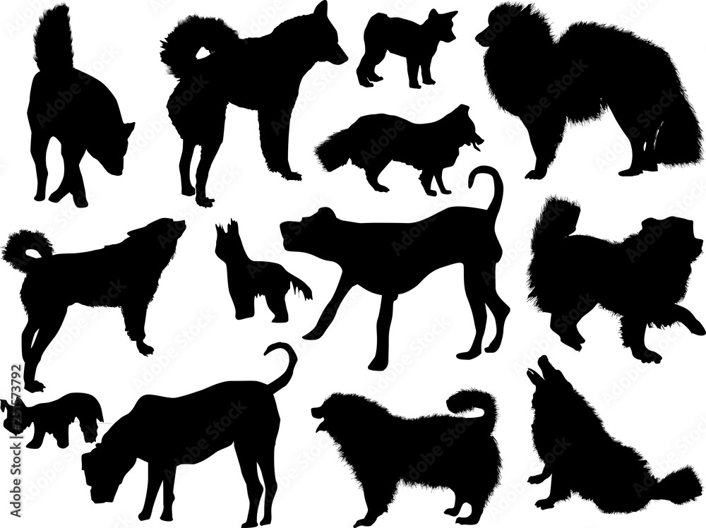set of thirteen dogs silhouettes isolated on white set of thirteen dogs silhouettes isolated on white