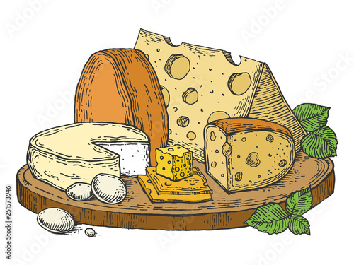 Plate of cheese color sketch engraving vector illustration. Scratch board style imitation. Hand drawn image.