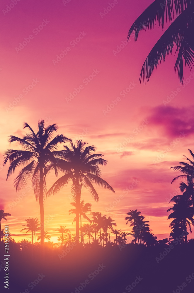 Fototapeta Tropical palm tree with colorful bokeh sun light on sunset sky cloud abstract background.