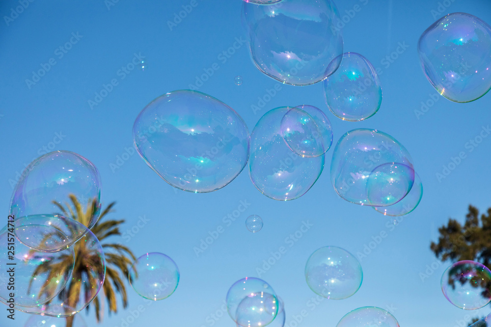 Bubble. Citadel Park. Color. Public. Palm Tree. Balloons