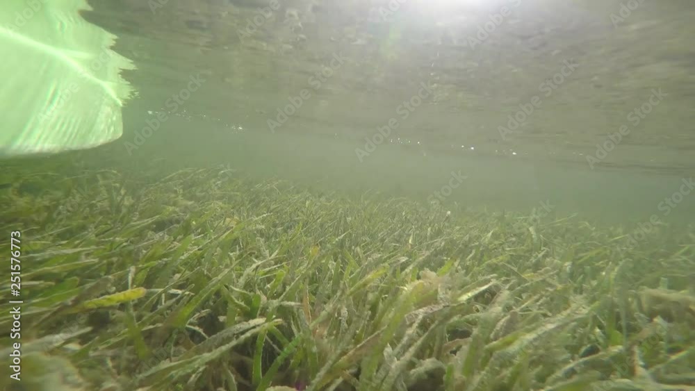 Florida Keys Kayaking Florida Keys Kayaking