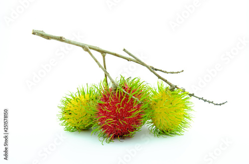 Red fresh rambutan, sweet and delicious , isolated on white background.