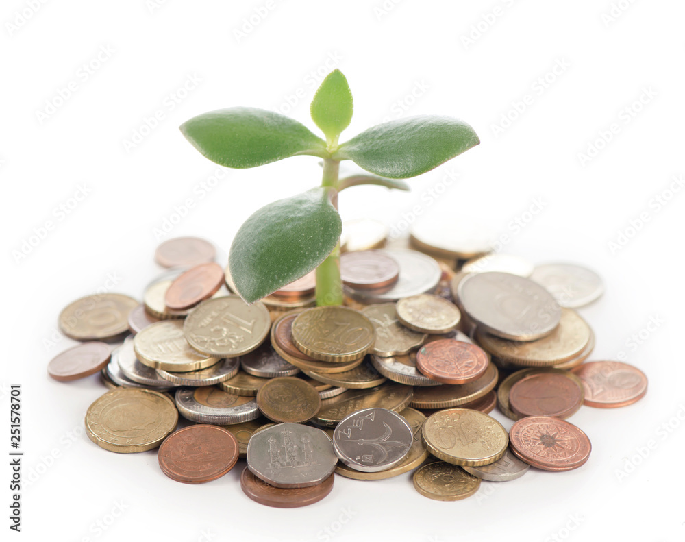 Young sprout from a pile of coins. Concept for investments Young sprout from a pile of coins. Concept for investments