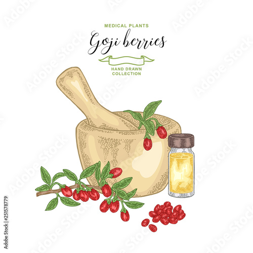Goji berries with mortar and glass bottle. Medicinal plants. Vector illustration.