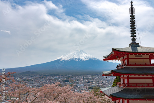 Mount Fuji viewed from behind Chureito Pagoda in full bloom cherry blossoms springtime sunny day in clear blue sky natural background. Arakurayama Sengen Park, Fujiyoshida, Yamanashi Prefecture, Japan