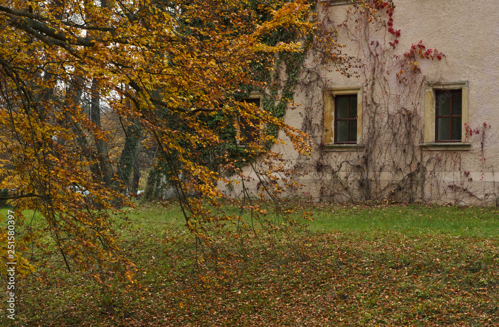 Fototapeta premium Autumn in the park near castle