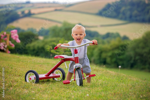 Cute toddler child, boy, playing with tricycle in backyard