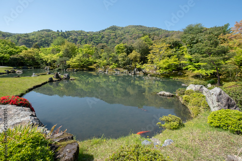 Water pond, tree with reflection in Japanese zen garden Kyoto Japan