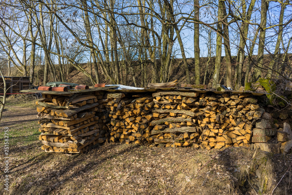 Sawn, split wood, trunks lie in the meadow.