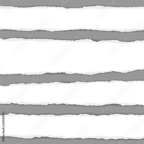 Several vector torn white paper stripes with shadow placed on gray background. Realistic ripped paper pieces.
