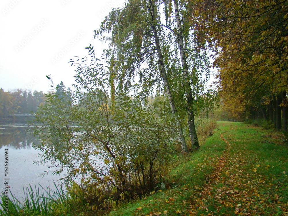 Fototapeta premium Beautiful rainy autumn view with a pond