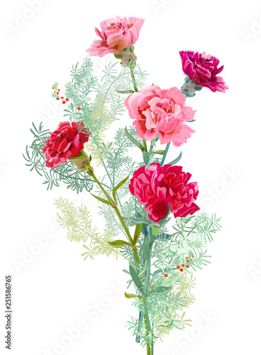 Bouquet of carnation schabaud, pink, white, red flowers, green leaves, twigs asparagus, white background, card for Mother's Day, Victory day, digital draw, illustration in watercolor style, vector