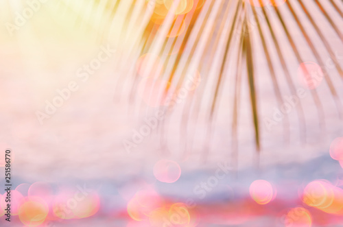 Blur beautiful nature green palm leaf on tropical beach with bokeh sun light wave abstract background.