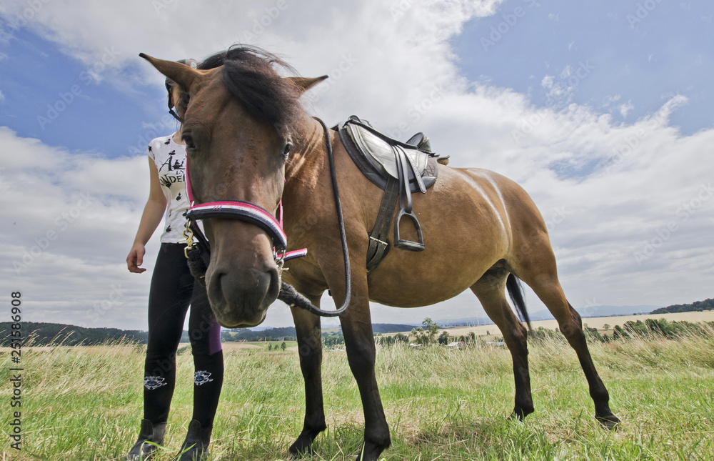 Girl standing with horse, Girl standing with horse,