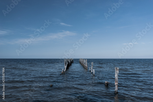 Wooden piles berth in the Baltic Sea