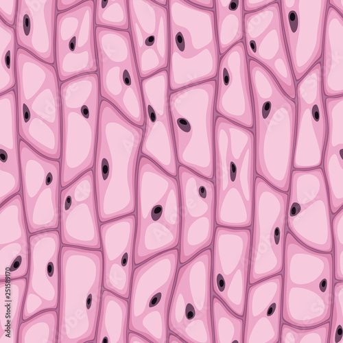 Seamless vector texture of organic cells with vacuoles and nuclei, pink hue