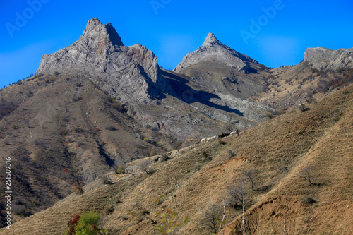 Blue clear sky  mountains and a herd of goats on a mountain slope