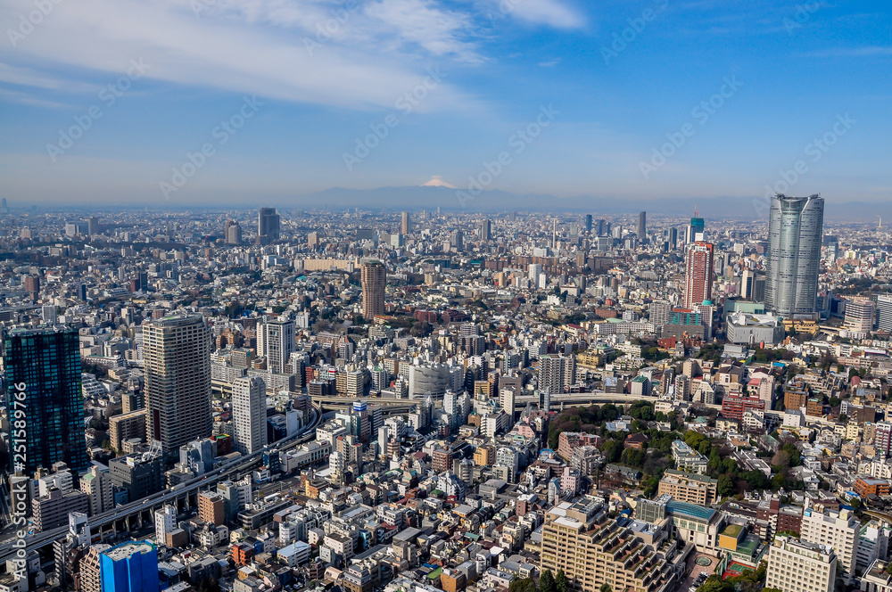 Wide-angle panoramic view of the Tokyo cityscape with the iconic Mt. Fuji in the distance at the background, taken from the observatory deck of Tokyo Tower.